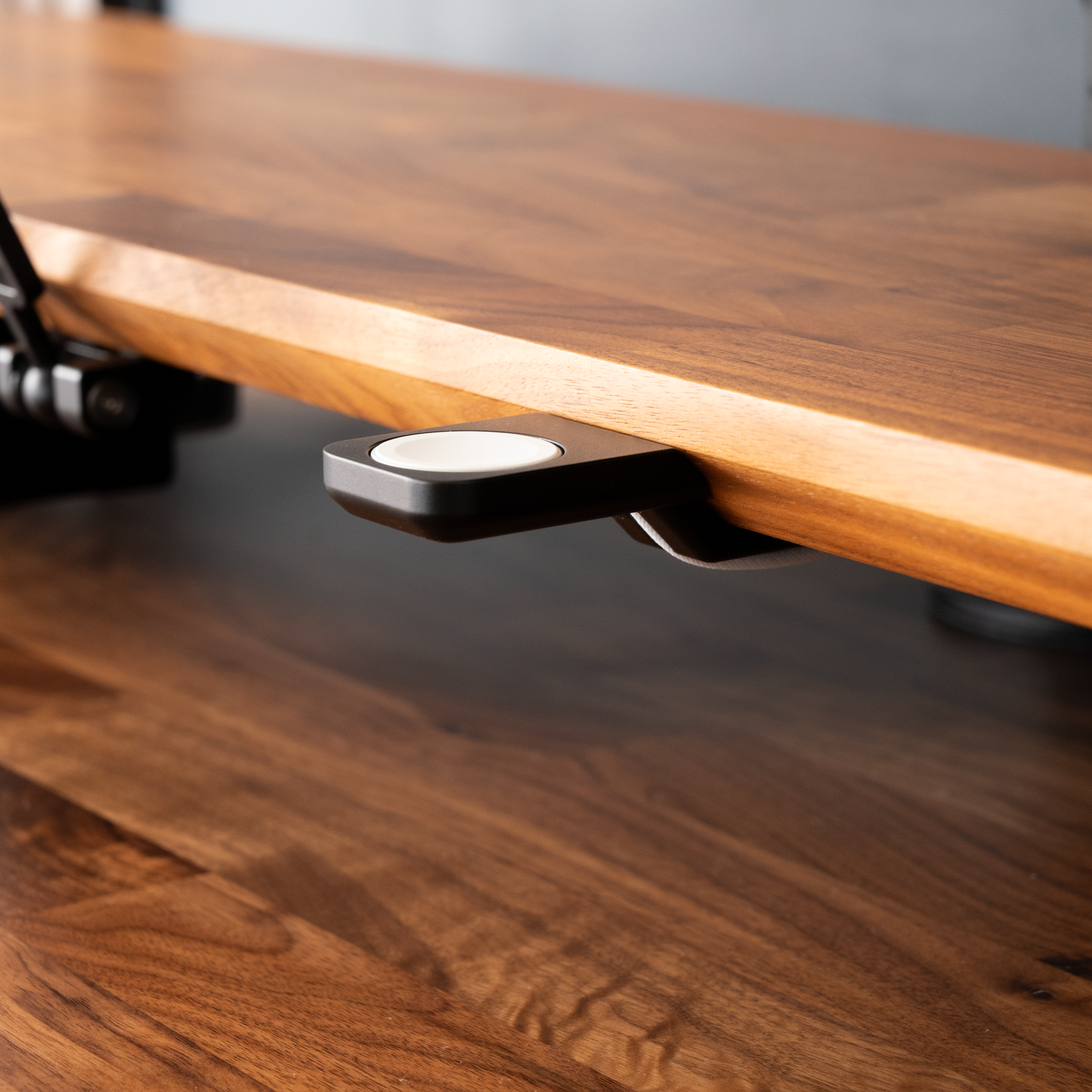 Mount for Apple Watch