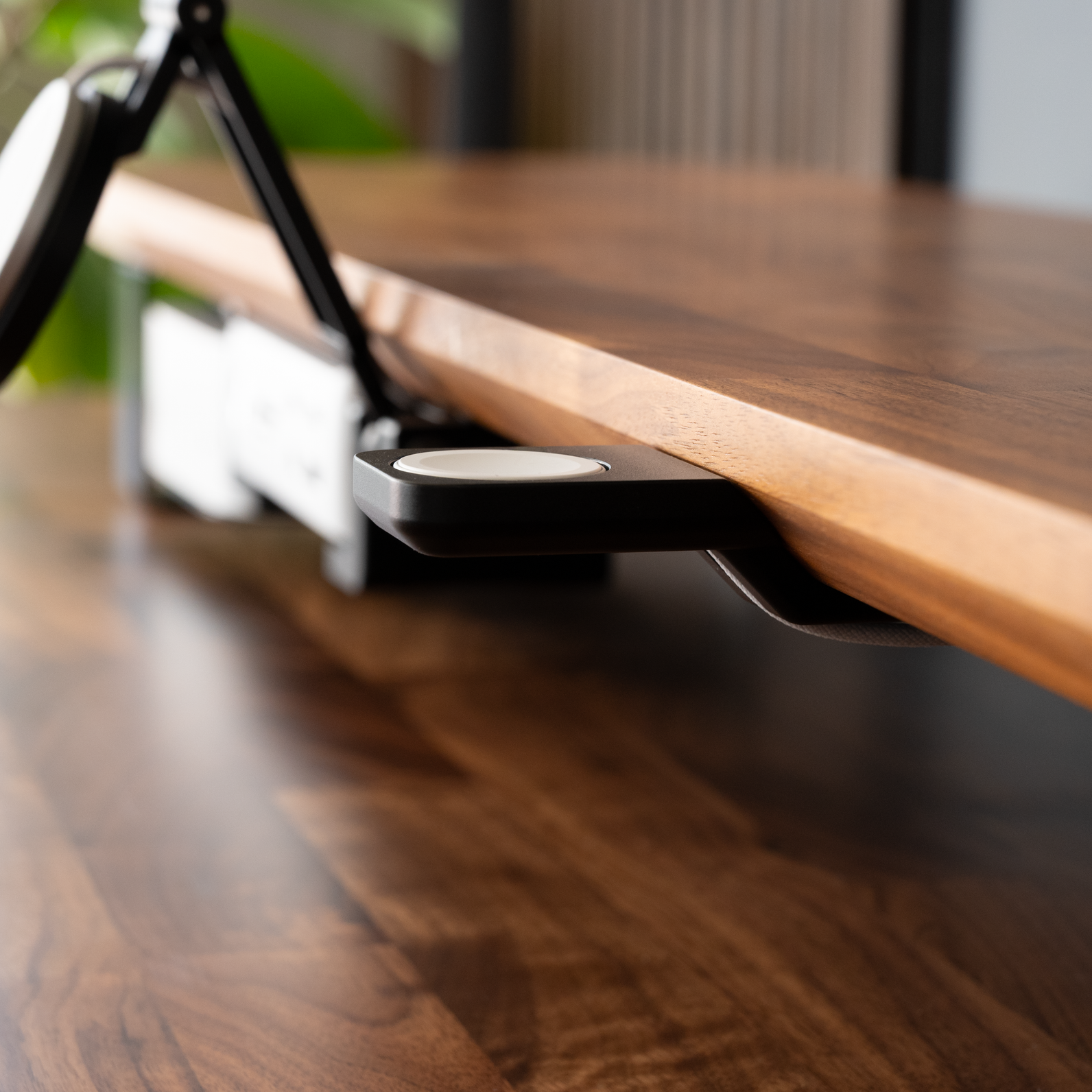 Mount for Apple Watch