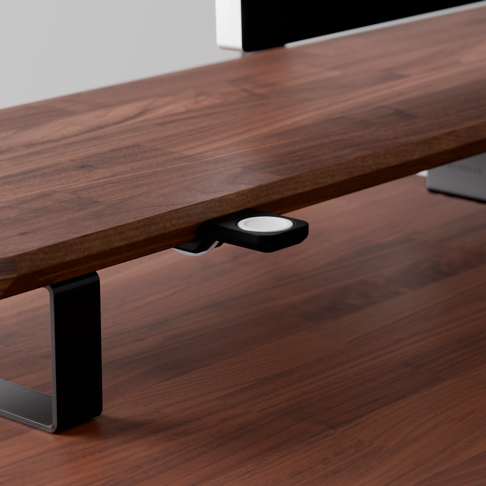 Mount for Apple Watch