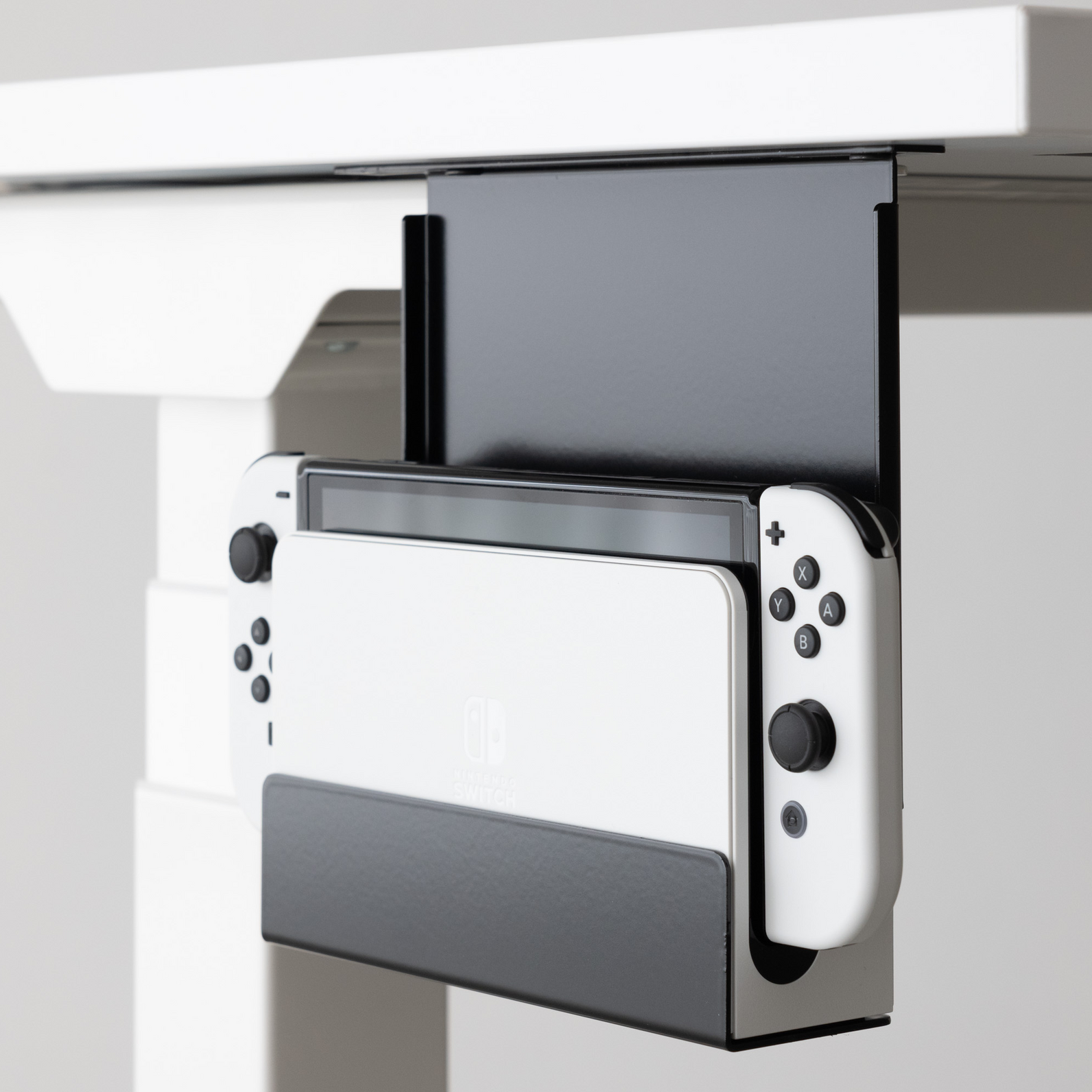 Mount for Switch