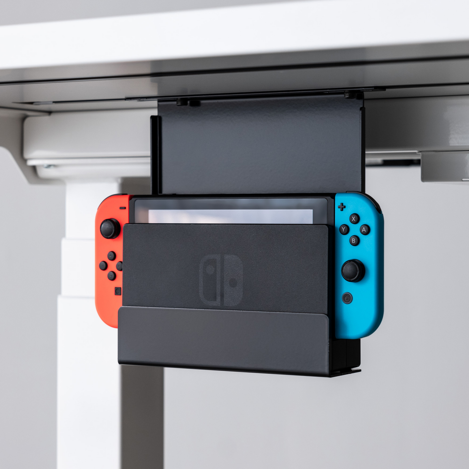 Mount for Switch
